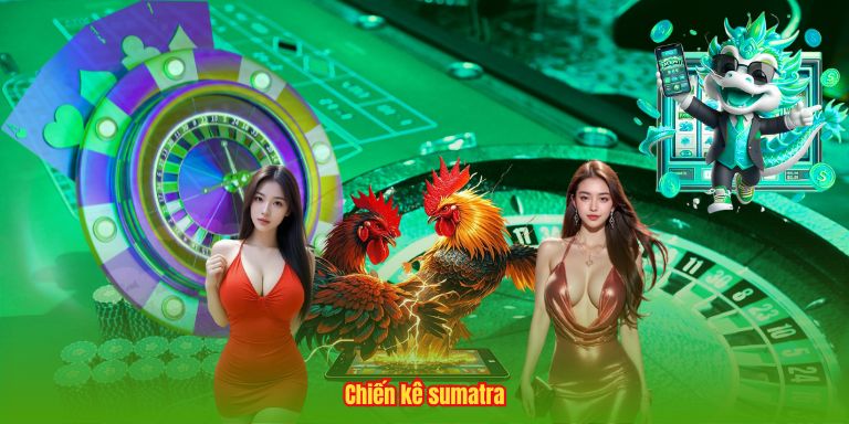 Chiến kê sumatra